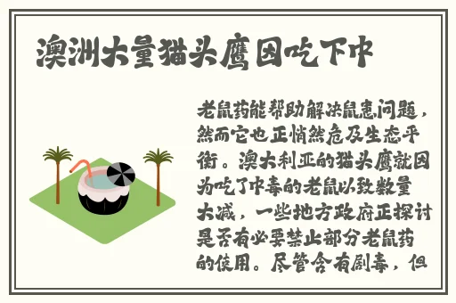 小猫app